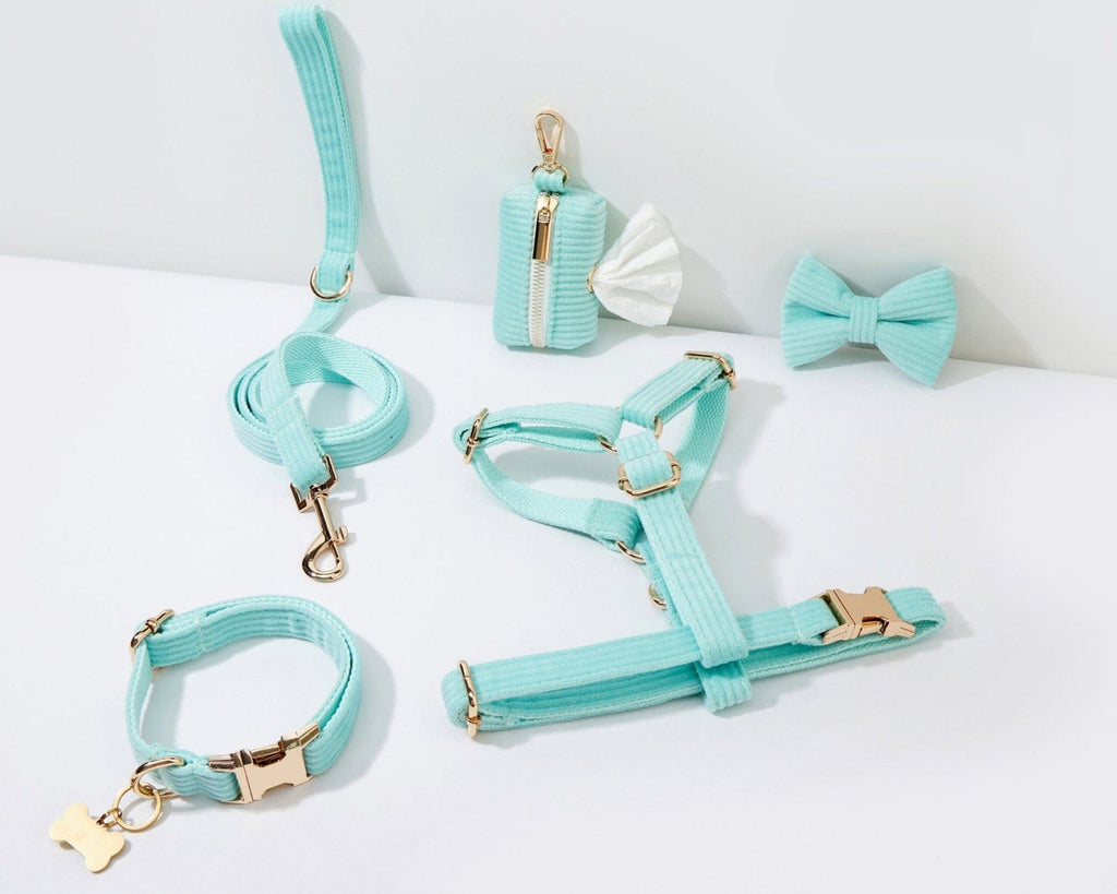 Lake Green Corduroy Set