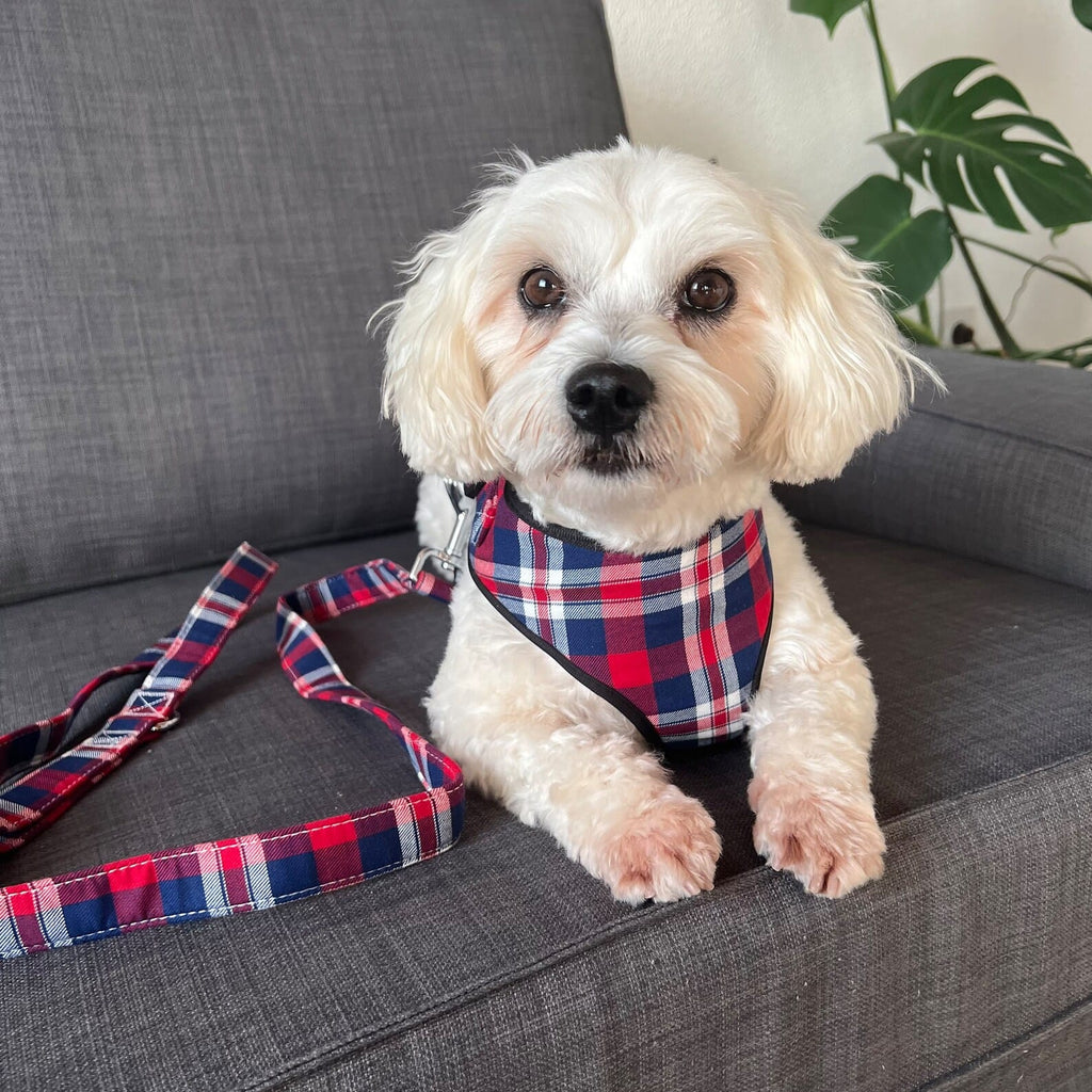 D&D Paws Collar + Leash + Bowtie + Poop Bag / XS Designed Plaid Dog Vest Set [Made-to-Order]