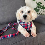 D&D Paws Collar + Leash + Bowtie + Poop Bag / XS Designed Plaid Dog Vest Set [Made-to-Order]