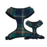 Harness