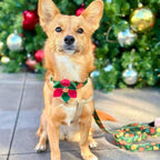 Christmas Floral Dog Collar and Leash Set