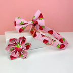 D&D Paws Designed Strawberry Dog Girly Set [Made-to-Order]