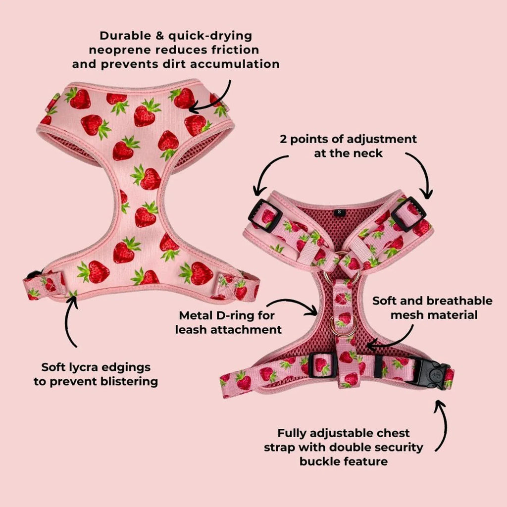 D&D Paws Designed Strawberry Dog Girly Set [Made-to-Order]
