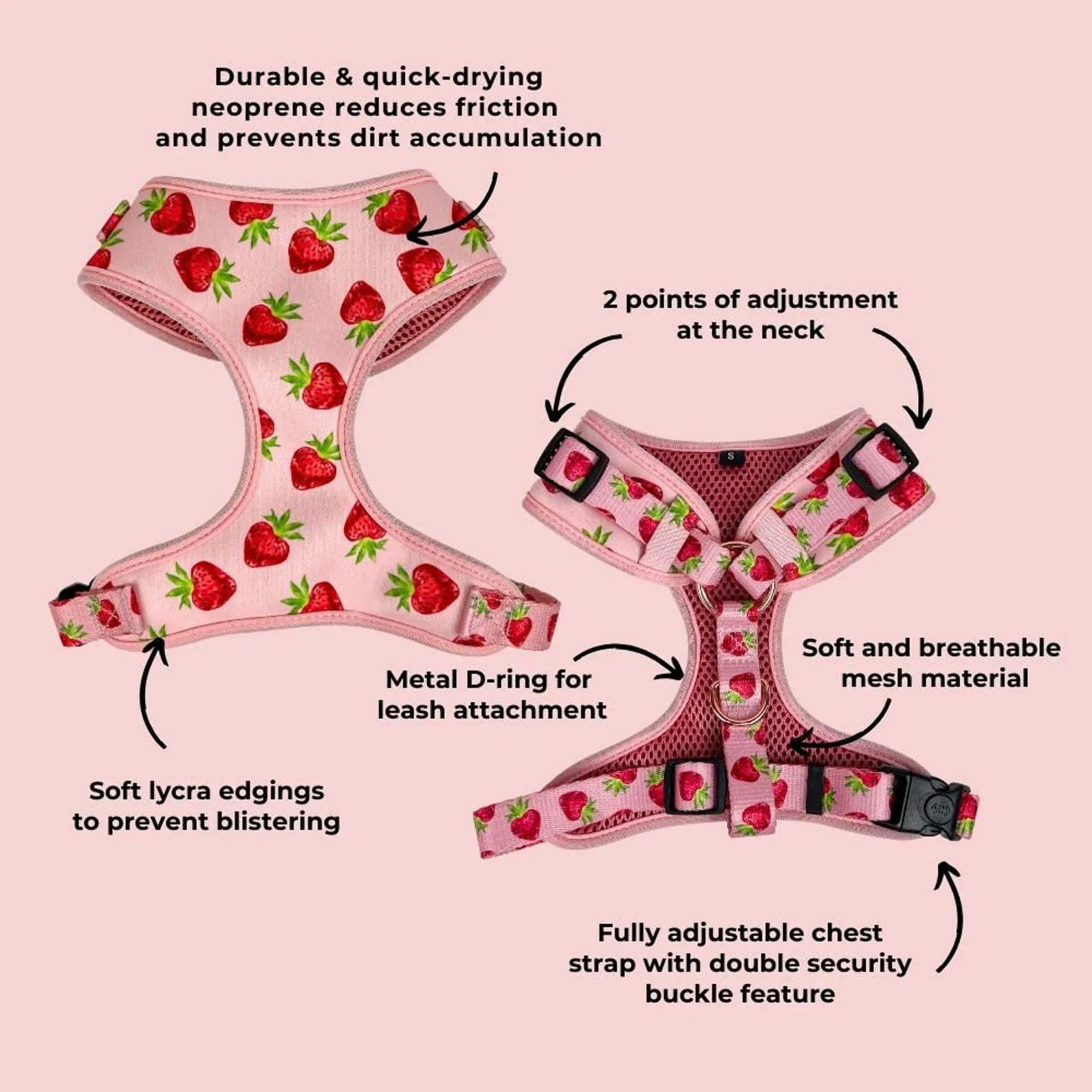 D&D Paws Designed Strawberry Dog Girly Set [Made-to-Order]