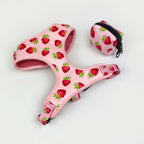 D&D Paws Designed Strawberry Dog Girly Set [Made-to-Order]