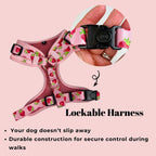 D&D Paws Designed Strawberry Dog Girly Set [Made-to-Order]