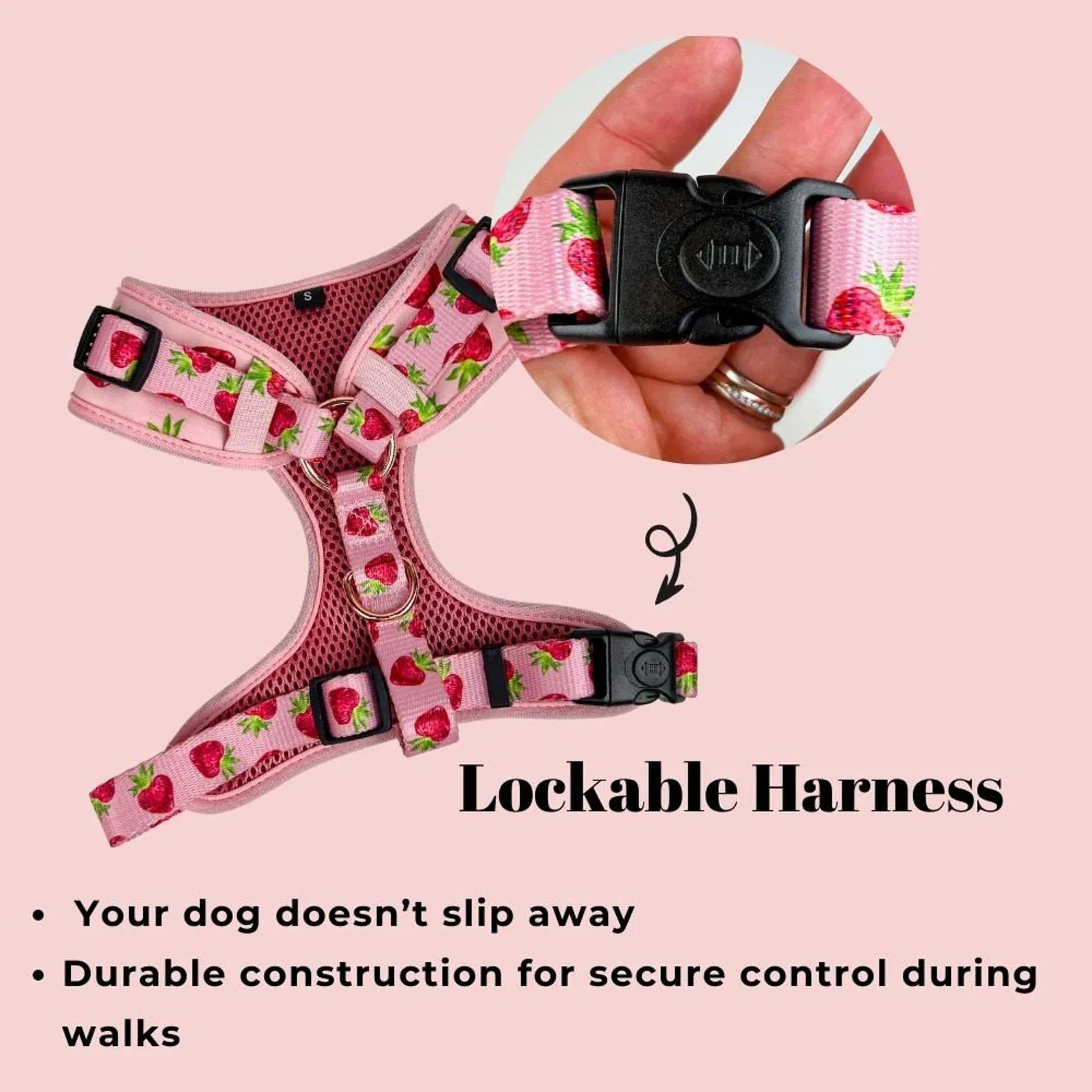 D&D Paws Designed Strawberry Dog Girly Set [Made-to-Order]