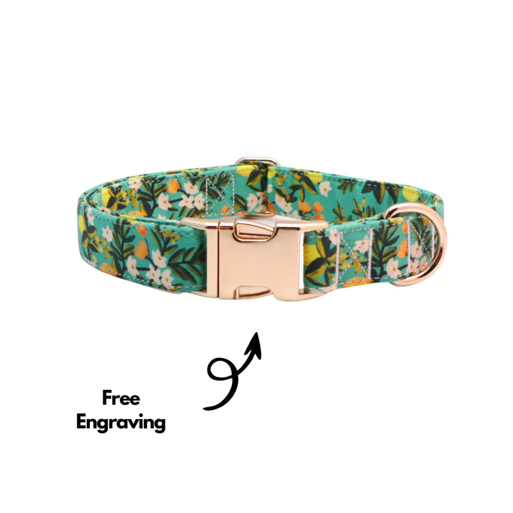 D&D Paws Collar Designed Floral Dog Vest Set