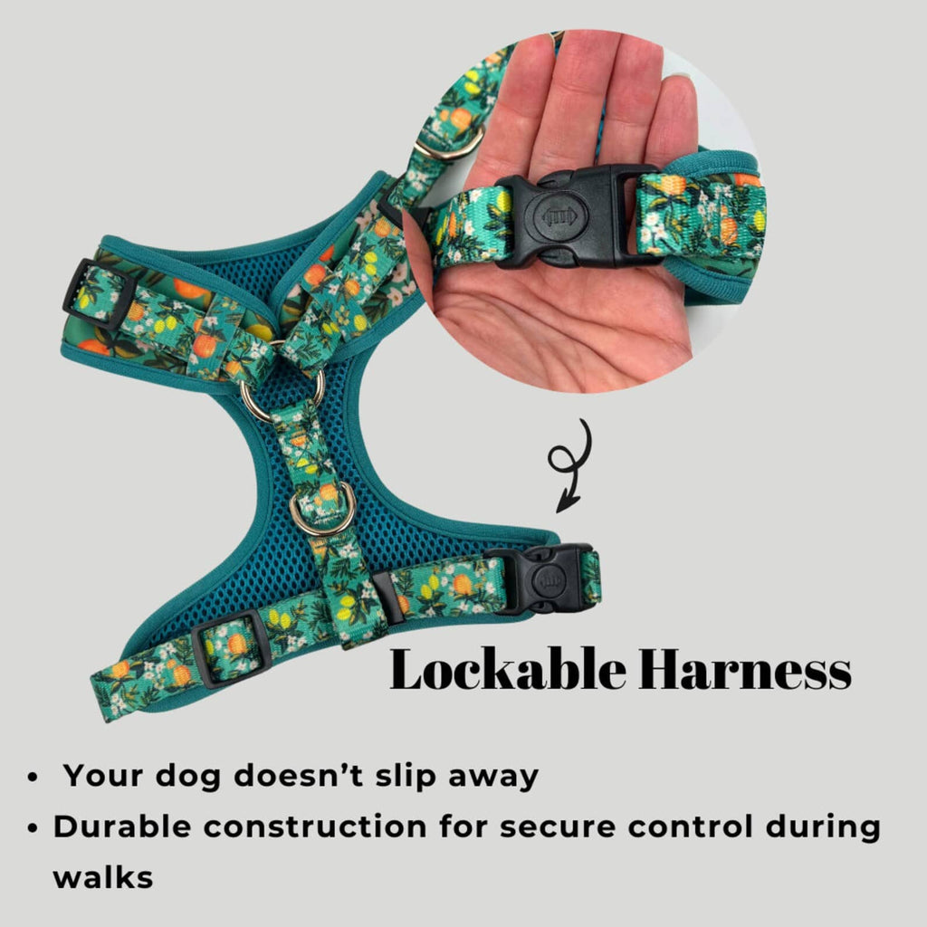 D&D Paws Designed Floral Dog Vest Set [Made-to-Order]
