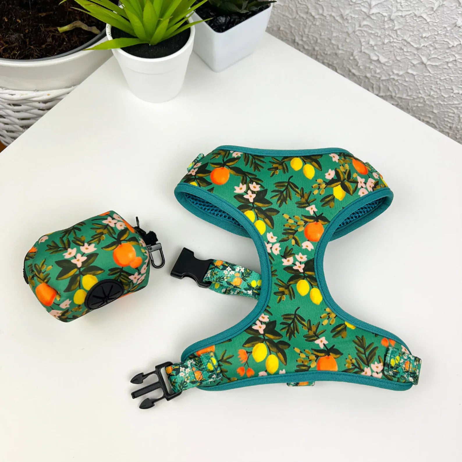 D&D Paws Designed Floral Dog Vest Set