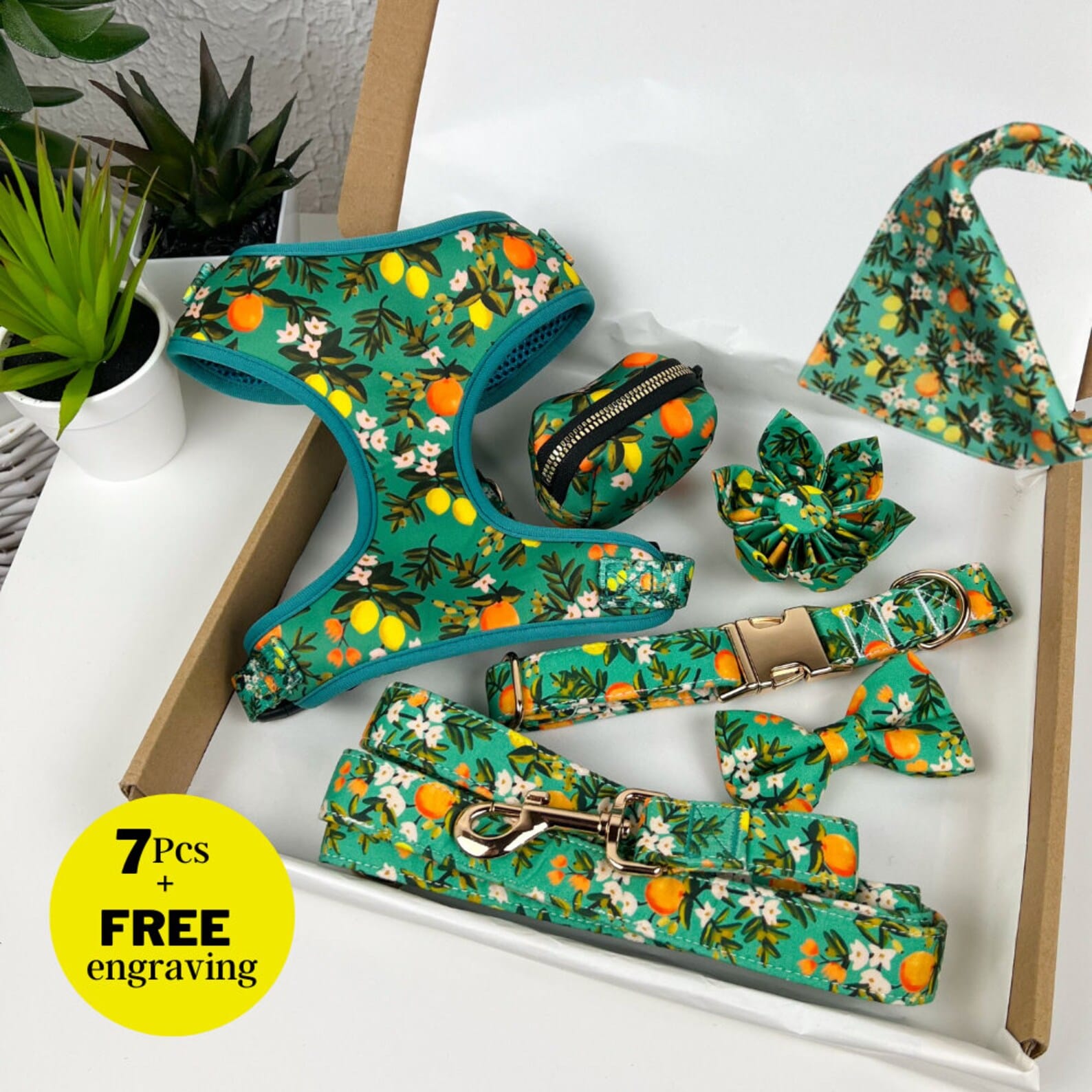 D&D Paws Designed Floral Dog Vest Set