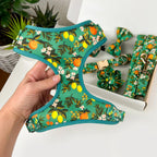 D&D Paws Harness Designed Floral Dog Vest Set