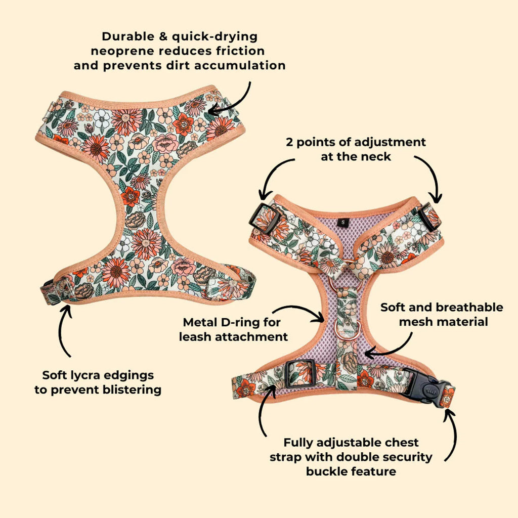 D&D Paws Designed Floral Dog Vest Set