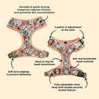D&D Paws Designed Floral Dog Vest Set