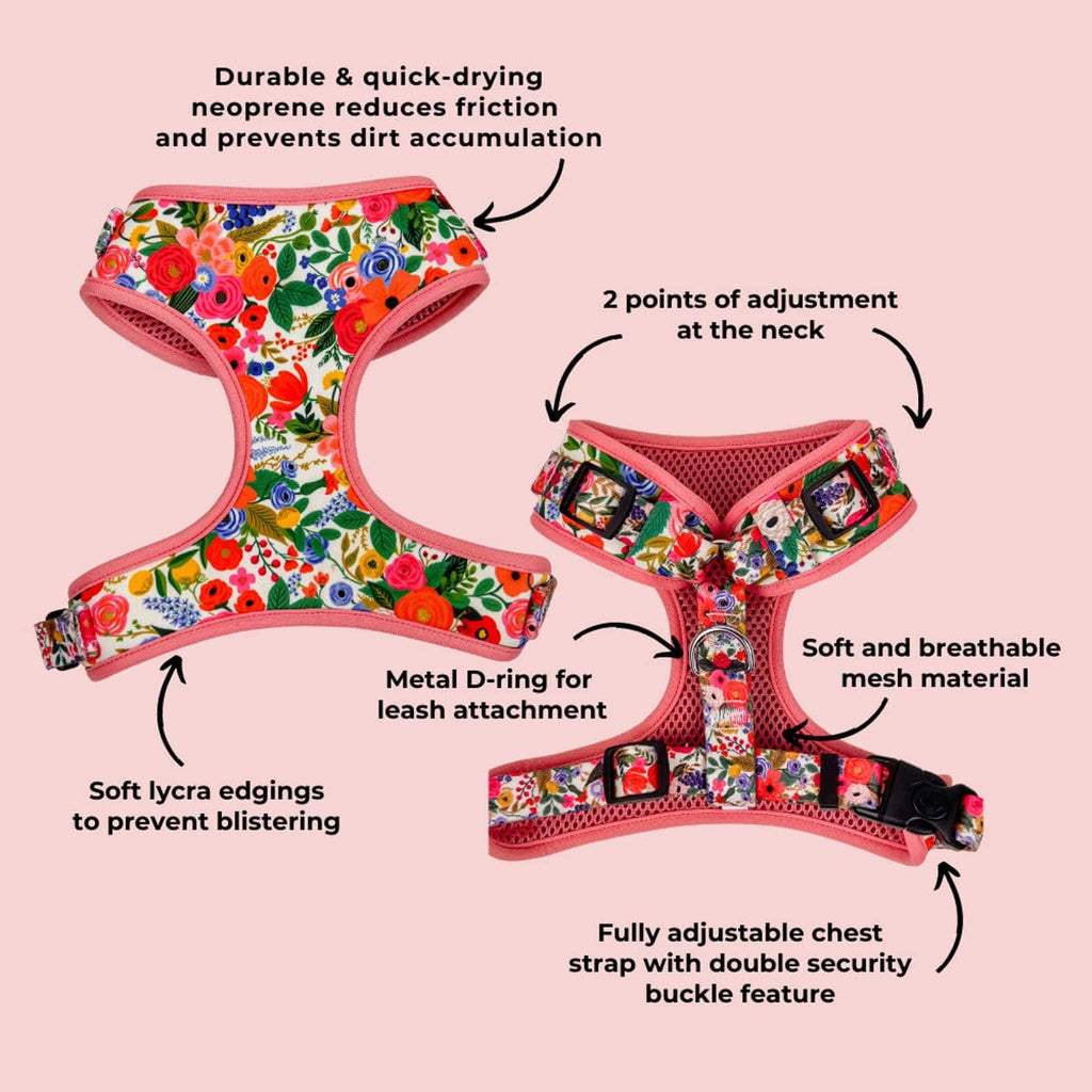 D&D Paws Designed Floral Dog Vest Set [Made-to-Order]