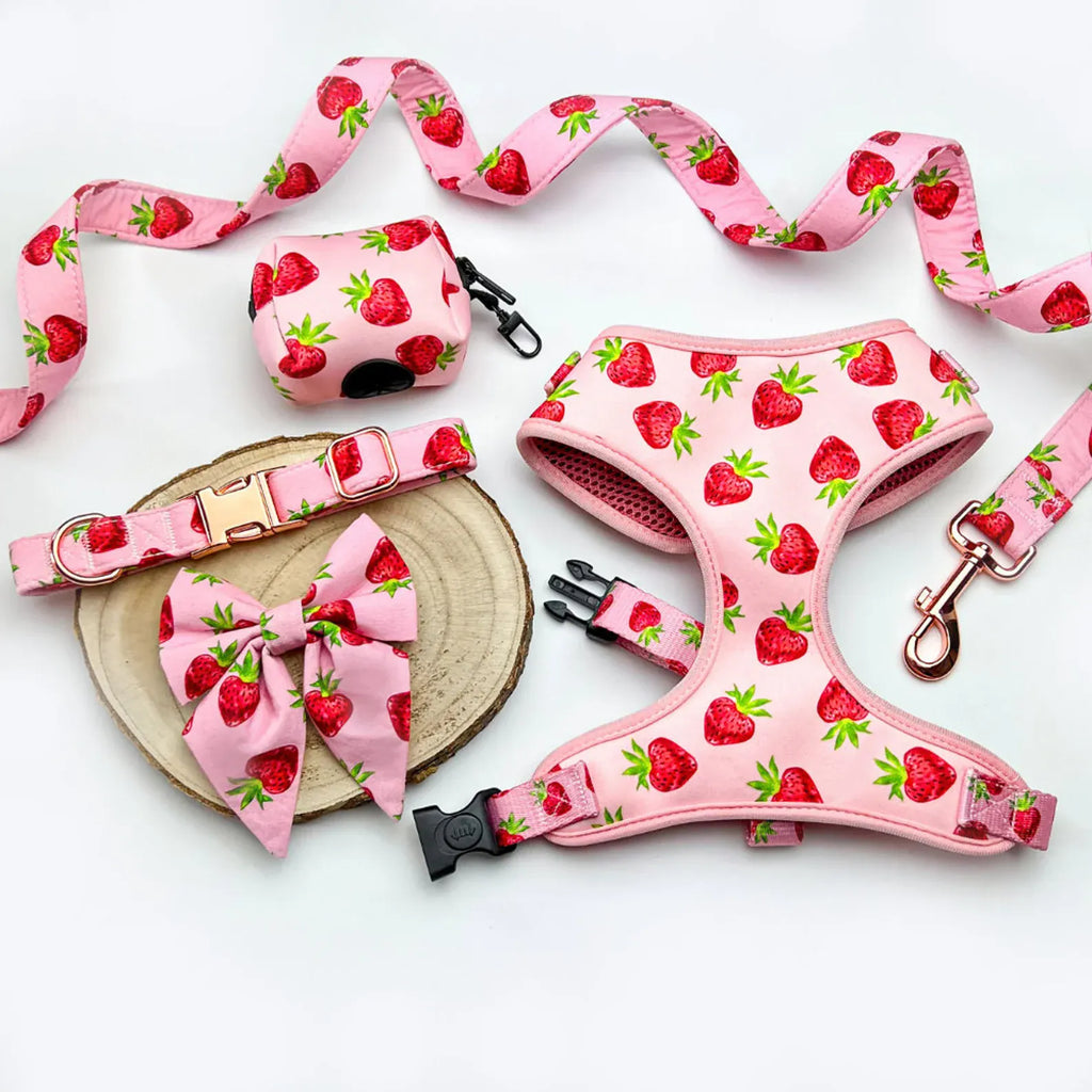 D&D Paws Collar + Harness + Leash + Bowtie + Poop Bag + Banana / XS Designed Strawberry Dog Girly Set [Made-to-Order]