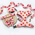 D&D Paws Collar + Harness + Leash + Bowtie + Poop Bag + Banana / XS Designed Strawberry Dog Girly Set [Made-to-Order]