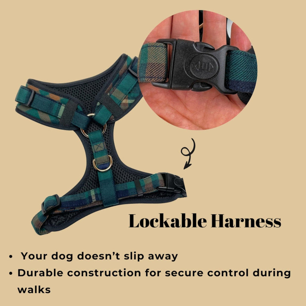 D&D Paws Designed Plaid Dog Vest Set [Made-to-Order]