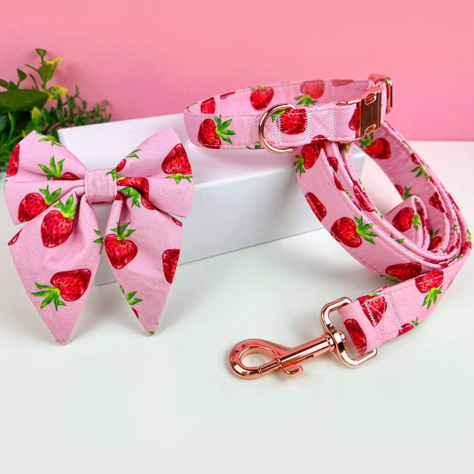 D&D Paws Designed Strawberry Dog Girly Set [Made-to-Order]