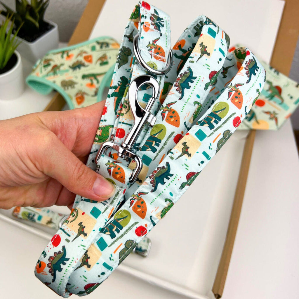 D&D Paws Leash / XS Designed Dinosaur Dog Vest Cute Set [Made-to-Order]