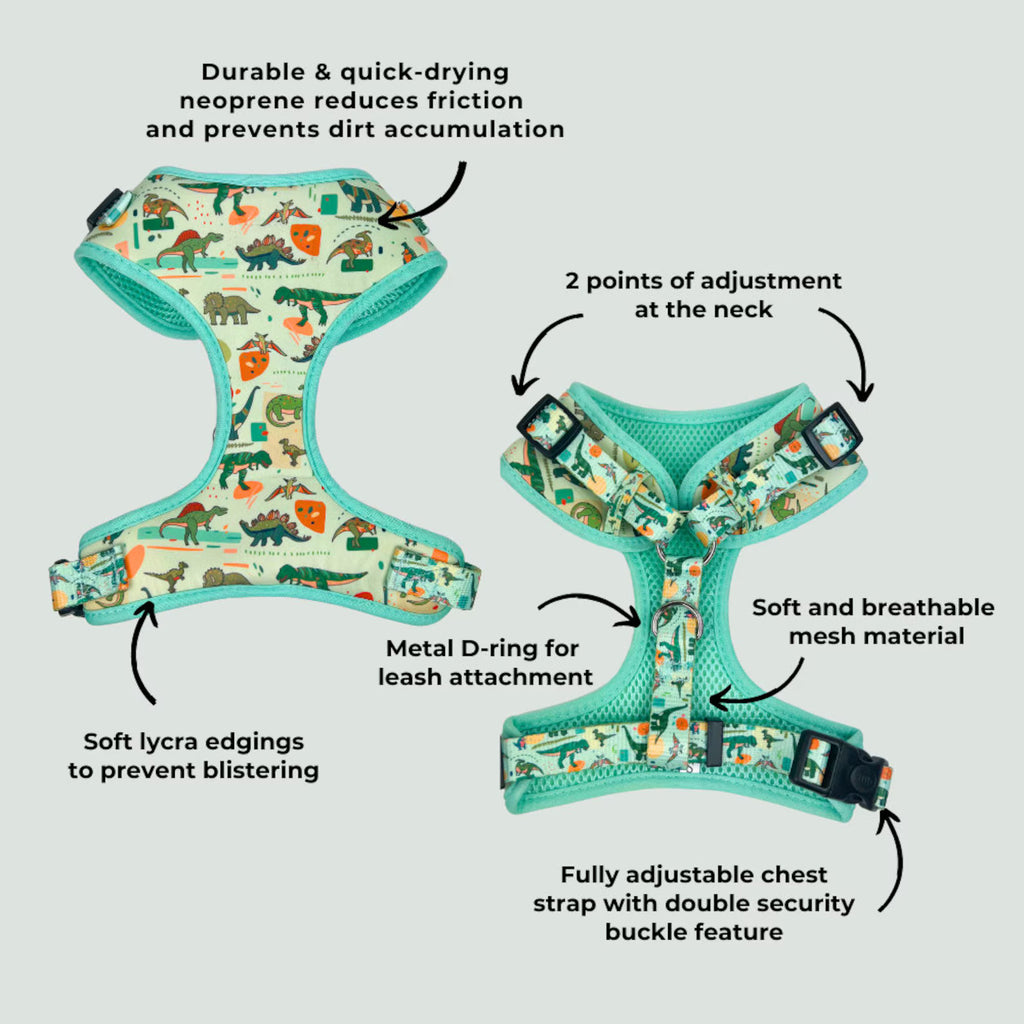 D&D Paws Designed Dinosaur Dog Vest Cute Set [Made-to-Order]