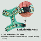 D&D Paws Designed Dinosaur Dog Vest Cute Set [Made-to-Order]