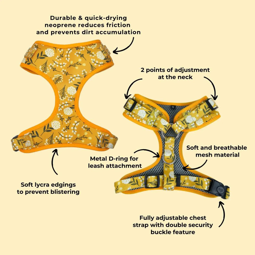 D&D Paws Designed Floral Dog Vest Girly Set [Made-to-Order]