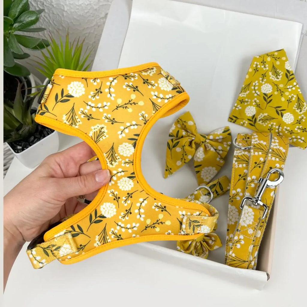 D&D Paws Harness / XS Designed Floral Dog Vest Girly Set [Made-to-Order]
