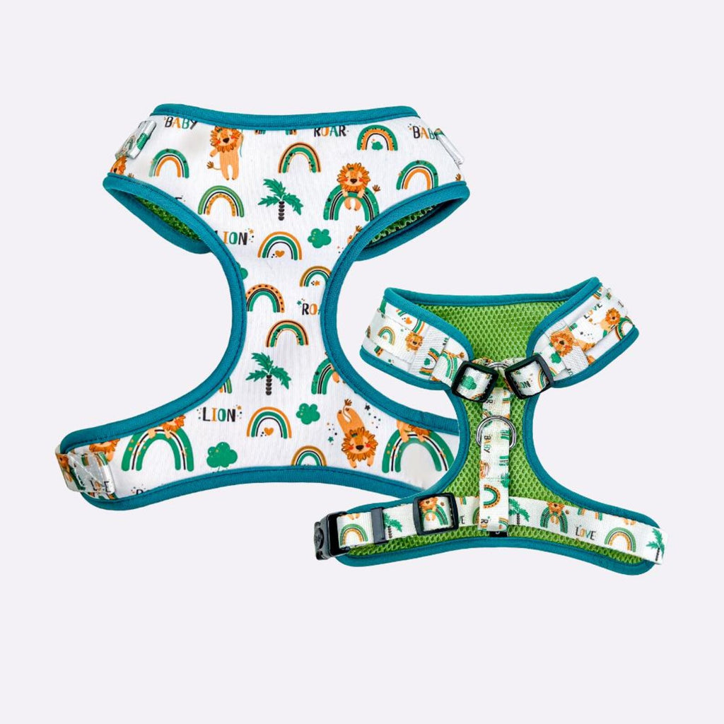 Designed Rainbow Dog Vest Set