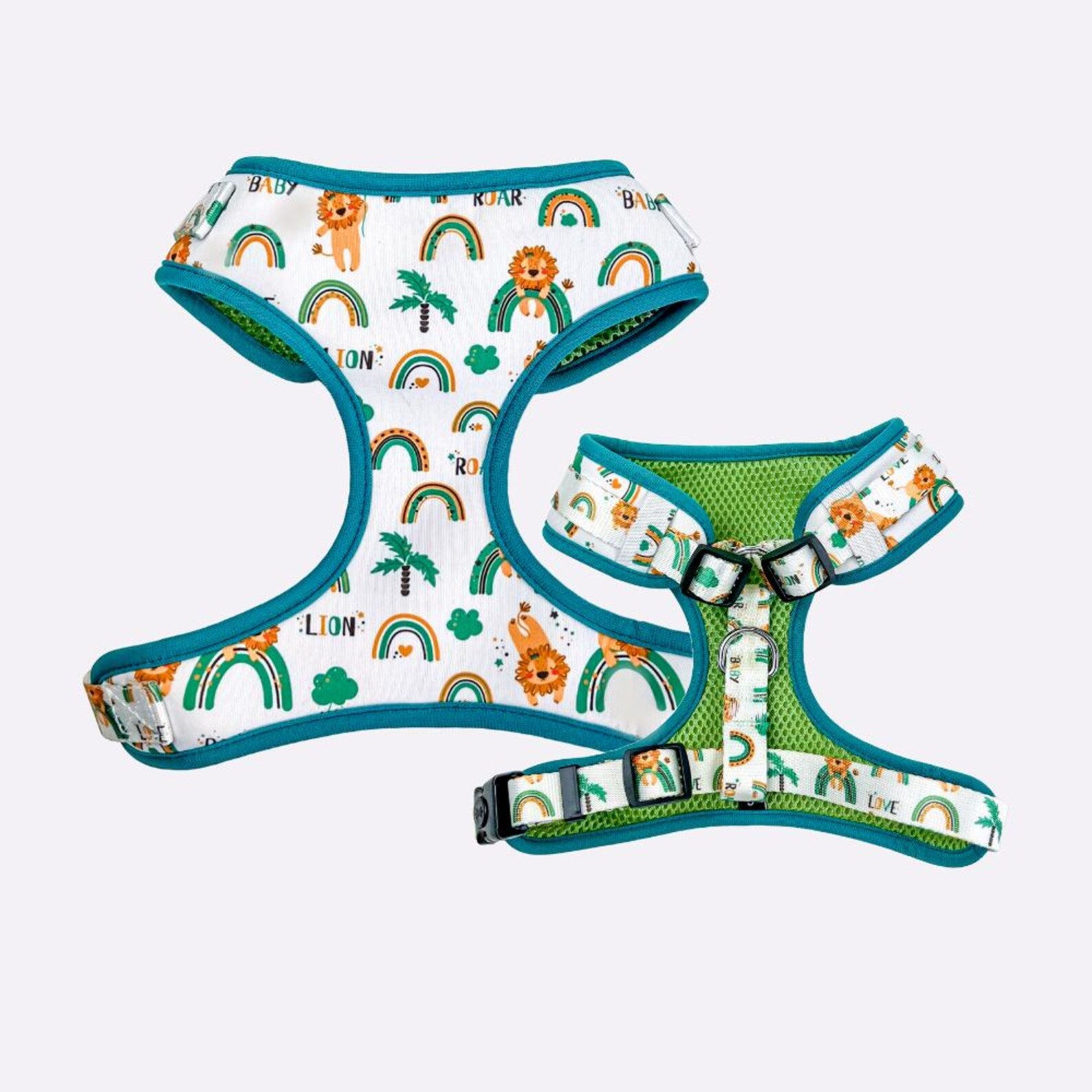 Designed Rainbow Dog Vest Set