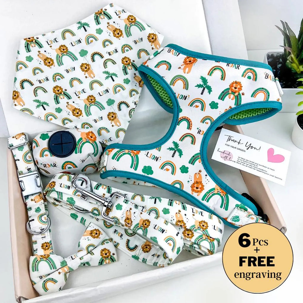 Designed Rainbow Dog Vest Set