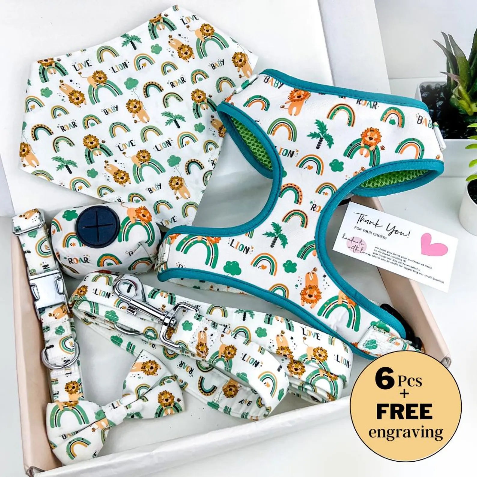 Designed Rainbow Dog Vest Set