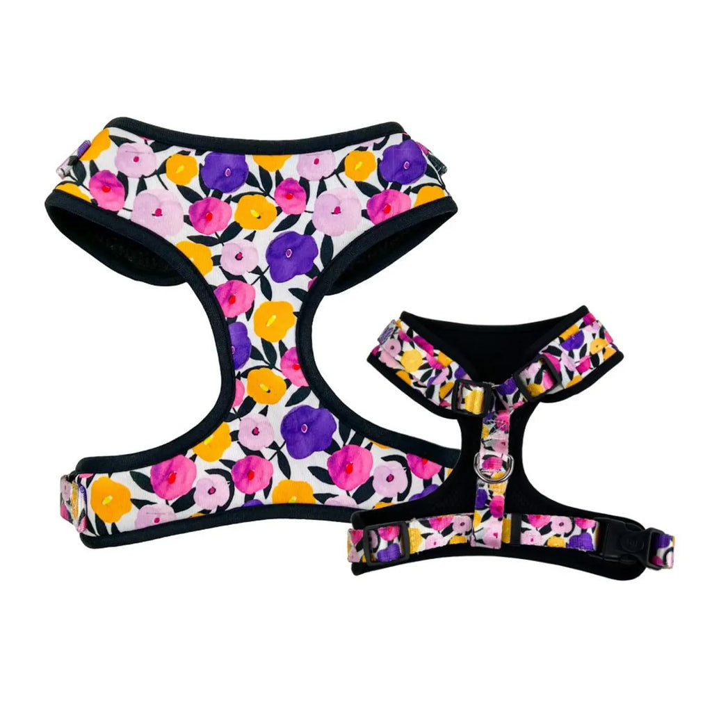 D&D Paws Harness Designed Purple Floral Dog Vest Set