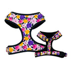 D&D Paws Harness Designed Purple Floral Dog Vest Set