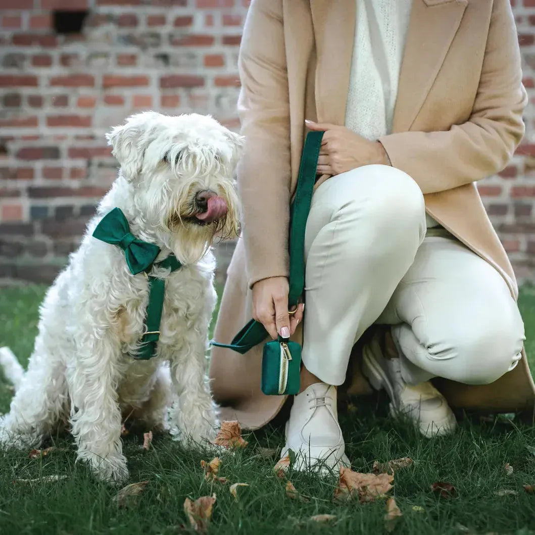 Velvet Dark Green Set