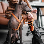 Ancient Pottery Velvet Set