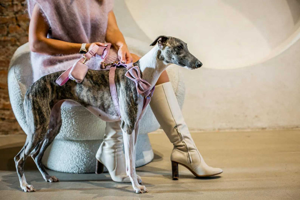 Dusty Pink Velvet Set