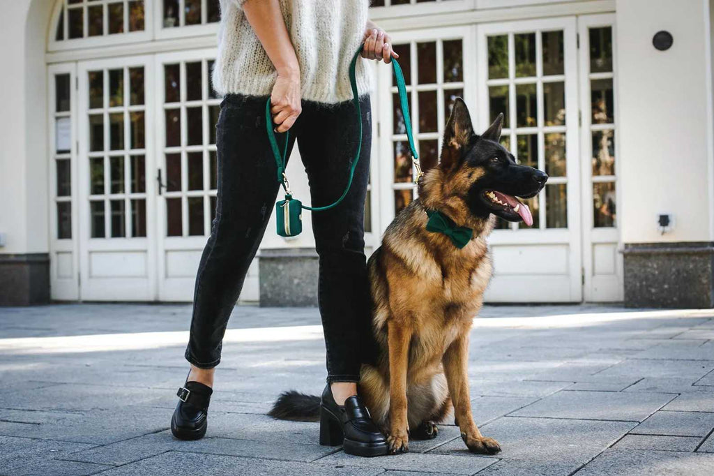 Forest Green Velvet Set