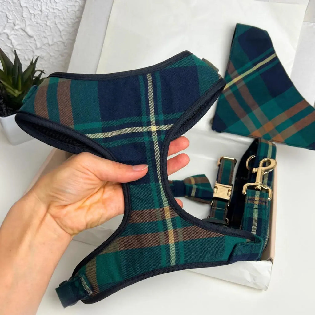 D&D Paws Designed Plaid Dog Vest Set [Made-to-Order]