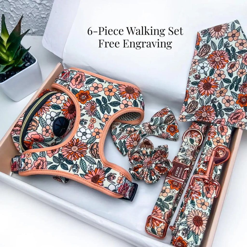 D&D Paws Designed Floral Dog Vest Girly Set [Made-to-Order]