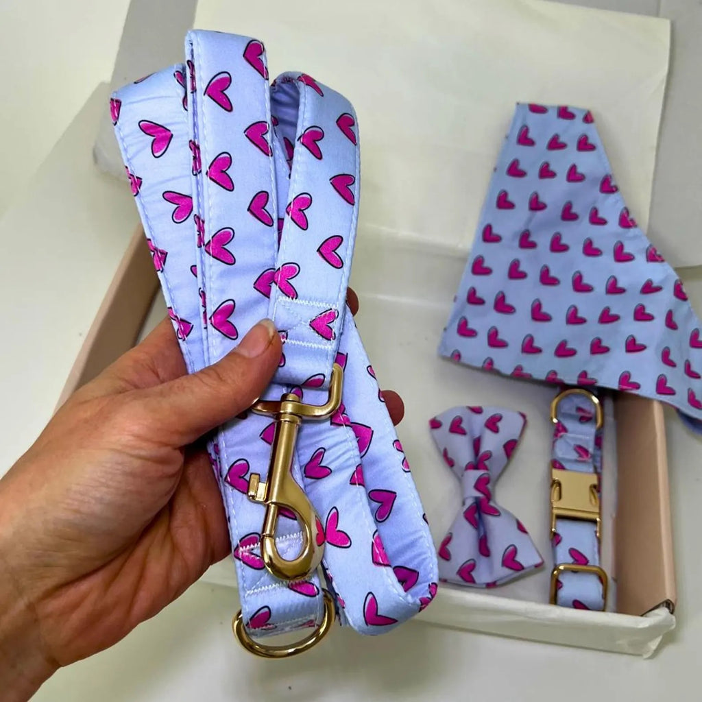 Designed Heart Dog Vest Set