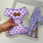 Designed Heart Dog Vest Set