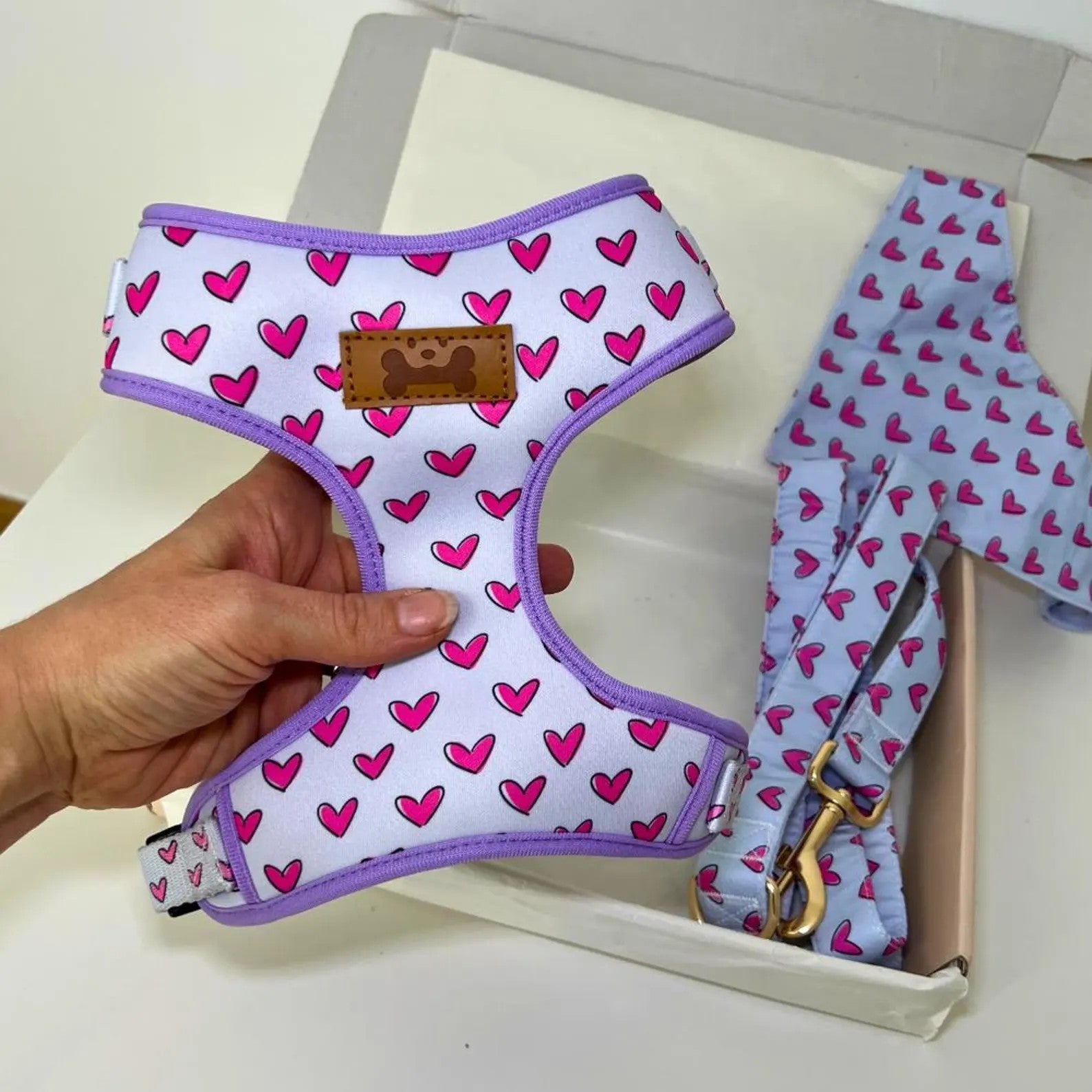 Designed Heart Dog Vest Set