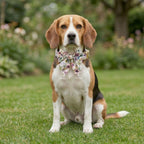 Spring Floral Dog Collar and Leash Set