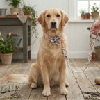 Spring Floral Dog Collar and Leash Set
