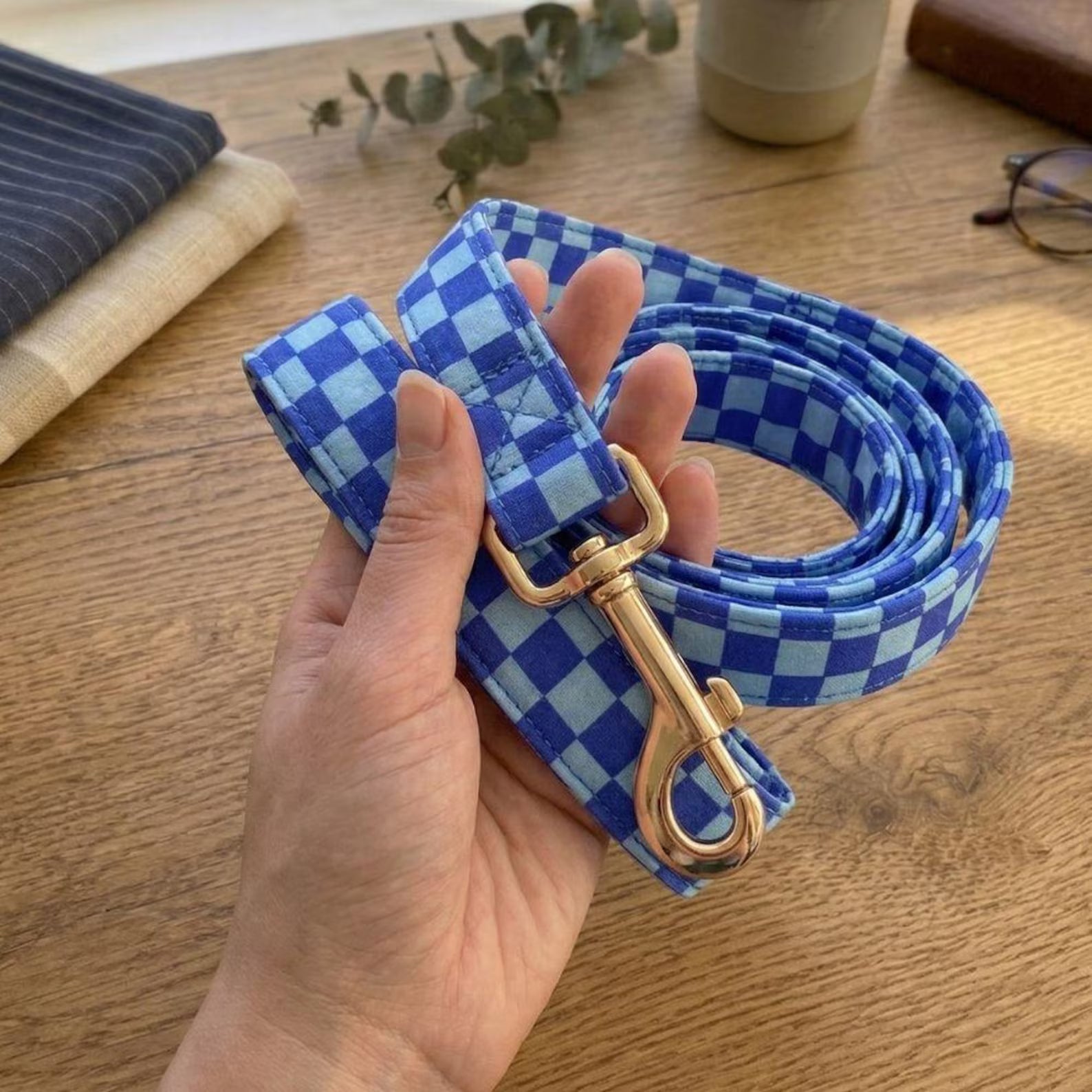 Designed Blue Caro Dog Vest Set