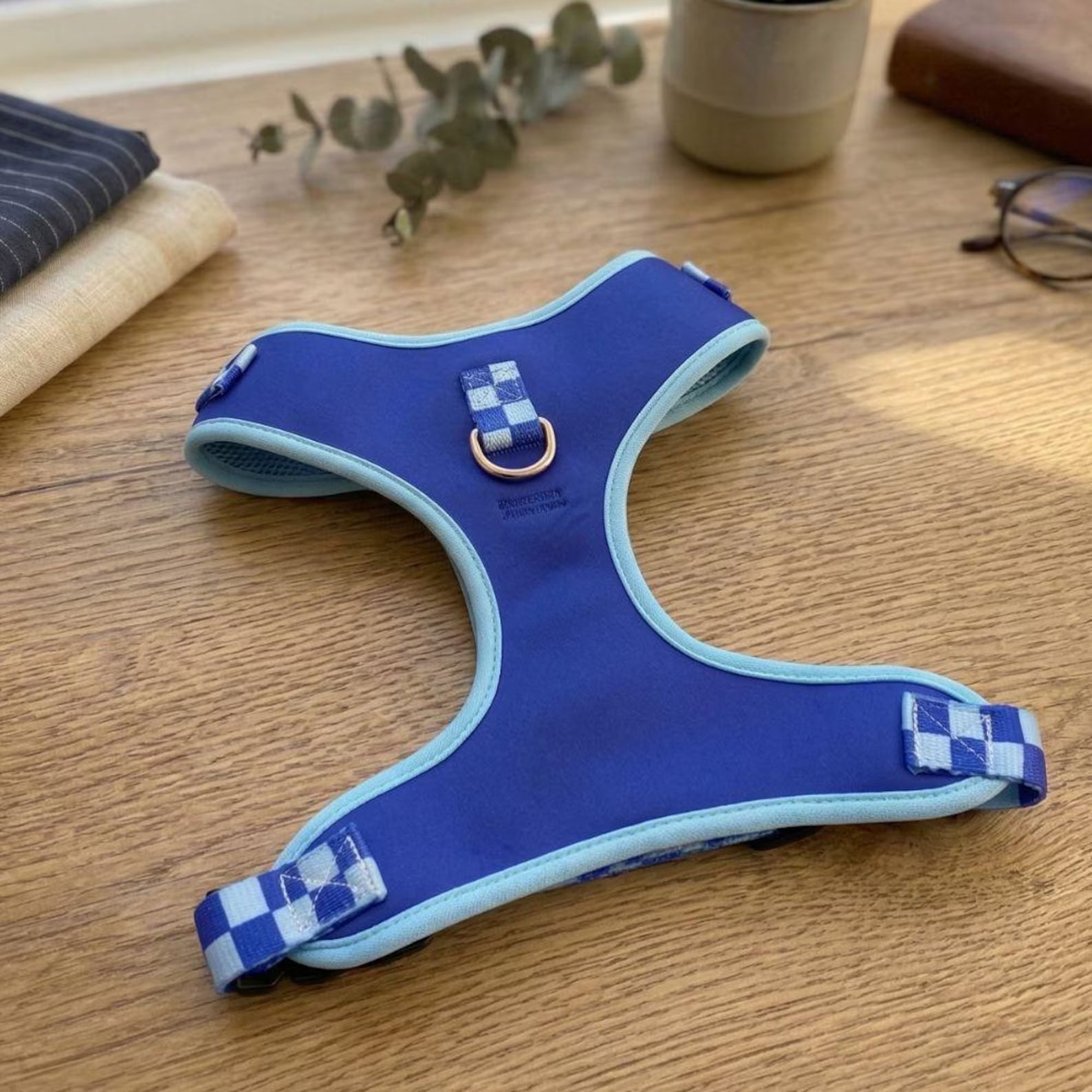 Designed Blue Caro Dog Vest Set