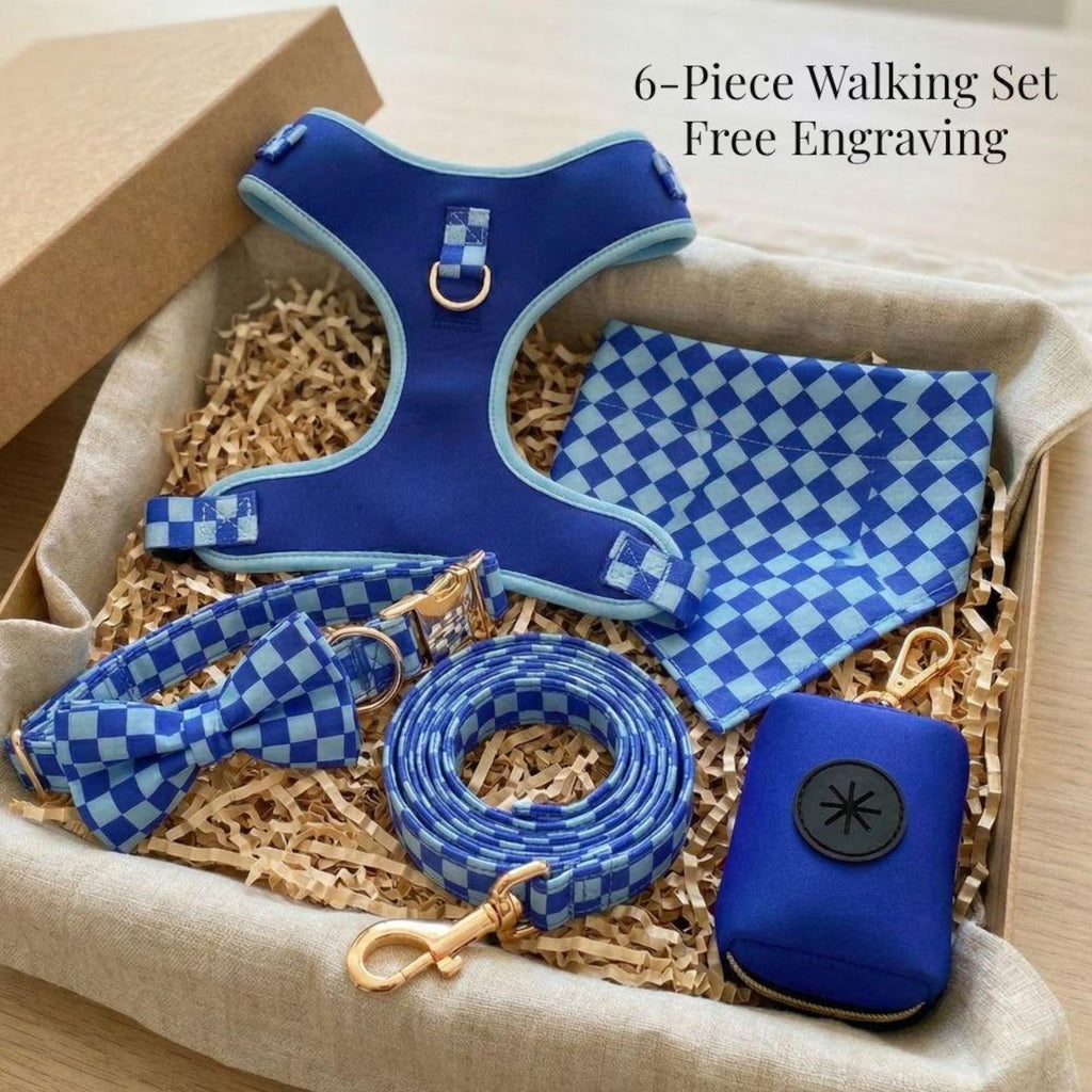 Designed Blue Caro Dog Vest Set