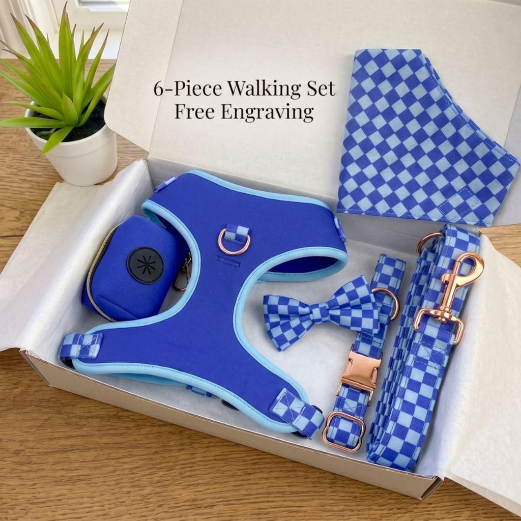 Designed Blue Caro Dog Vest Set