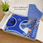 Designed Blue Caro Dog Vest Set